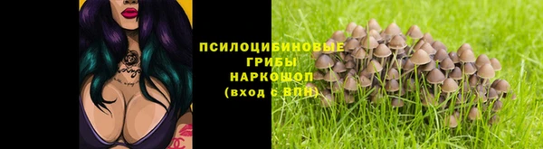 индика Алзамай