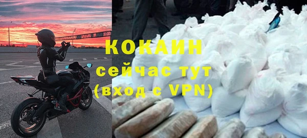 индика Алзамай