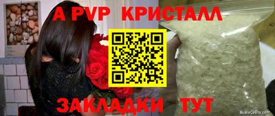 бошки Сланцы