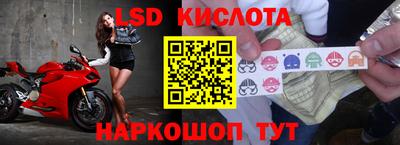 a pvp Славянск-на-Кубани