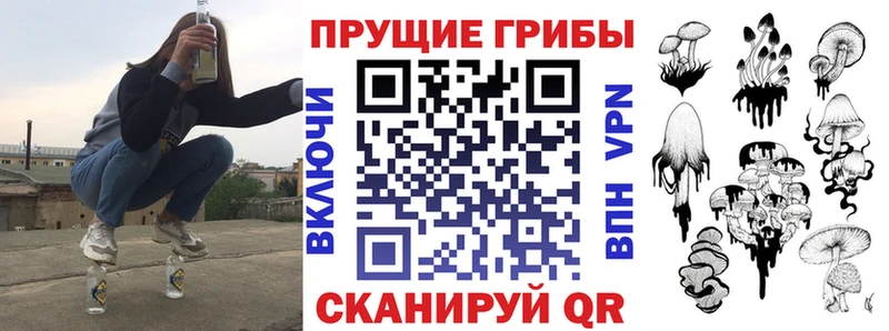 сколько стоит  Глазов  Псилоцибиновые грибы GOLDEN TEACHER 