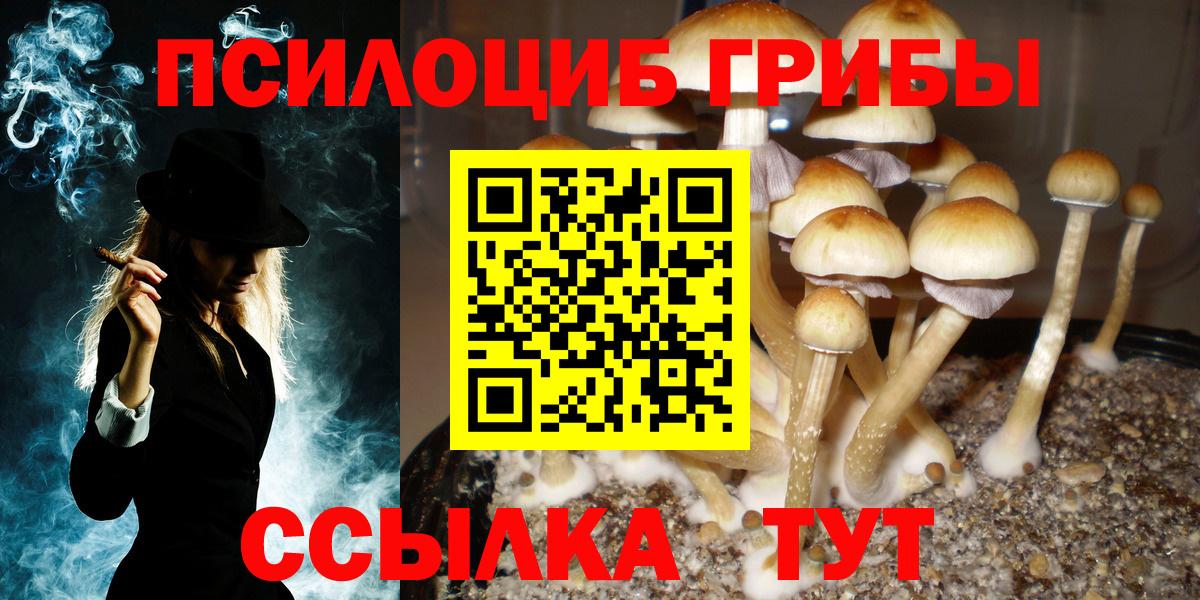 Галлюциногенные грибы прущие грибы Глазов
