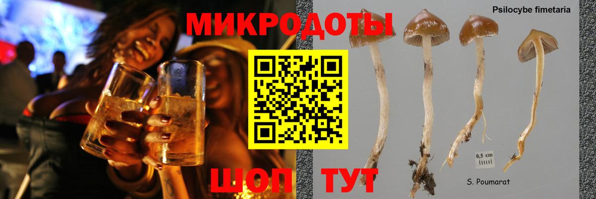 Галлюциногенные грибы Psilocybine cubensis  Вход с VPN  Глазов 