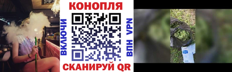 где найти   Глазов  Бошки марихуана Bruce Banner 